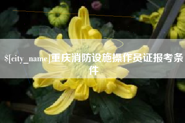 衡水重庆消防设施操作员证报考条件
