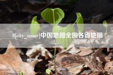 衡水中国地图全图各省地图