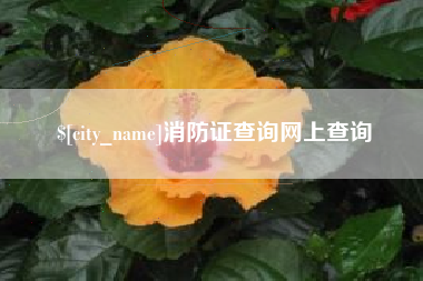 衡水消防证查询网上查询