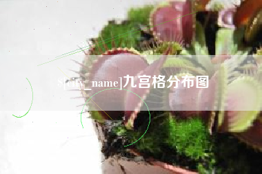 衡水九宫格分布图