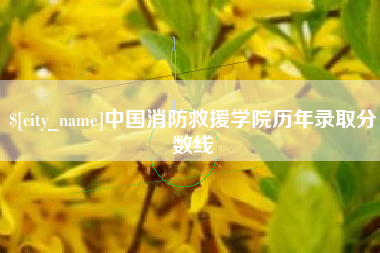 衡水中国消防救援学院历年录取分数线