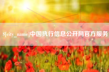 衡水中国执行信息公开网官方服务