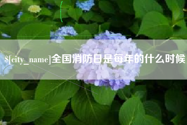 衡水全国消防日是每年的什么时候