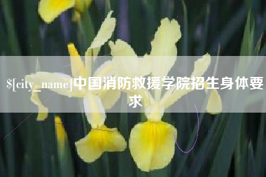 衡水中国消防救援学院招生身体要求