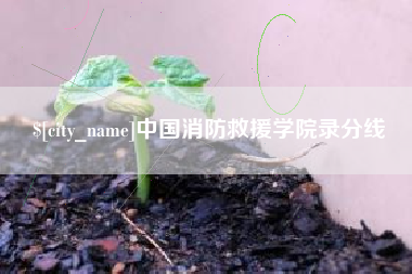 衡水中国消防救援学院录分线