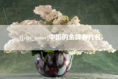衡水中国的金牌有几名