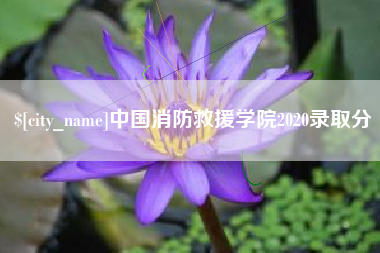 衡水中国消防救援学院2020录取分