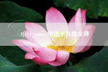 衡水中国十九枚金牌