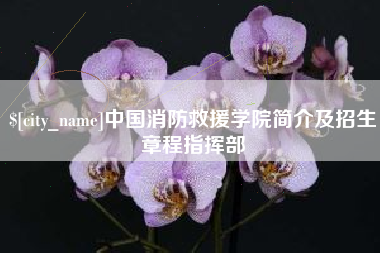 衡水中国消防救援学院简介及招生章程指挥部
