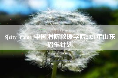 衡水中国消防救援学院2021年山东招生计划