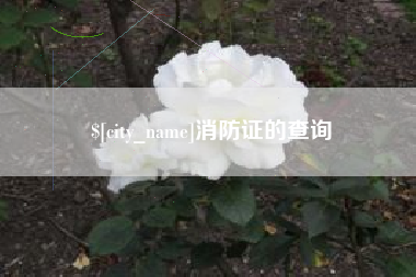 衡水消防证的查询