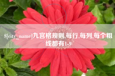 衡水九宫格规则,每行,每列,每个粗线都有1-9