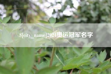 衡水2024奥运冠军名字