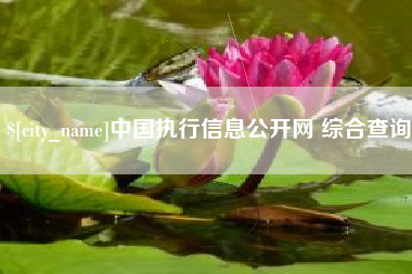 衡水中国执行信息公开网 综合查询