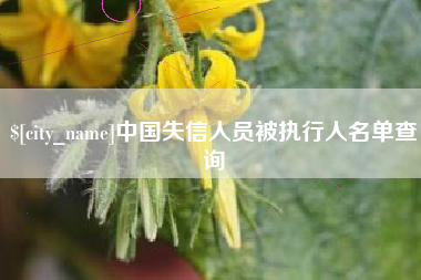 衡水中国失信人员被执行人名单查询