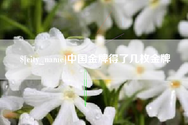 衡水中国金牌得了几枚金牌