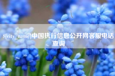 衡水中国执行信息公开网客服电话查询
