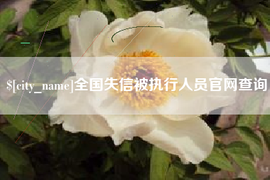 衡水全国失信被执行人员官网查询