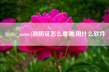 衡水消防证怎么查询,用什么软件