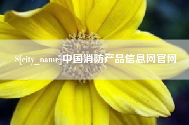 衡水中国消防产品信息网官网