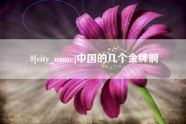 衡水中国的几个金牌啊