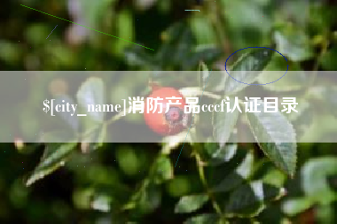 衡水消防产品cccf认证目录