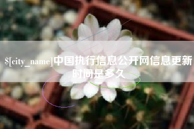 衡水中国执行信息公开网信息更新时间是多久