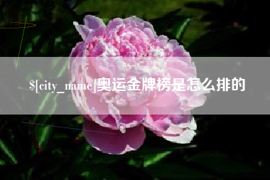 衡水奥运金牌榜是怎么排的