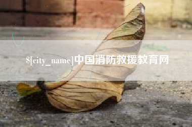 衡水中国消防救援教育网