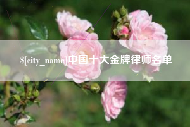 衡水中国十大金牌律师名单