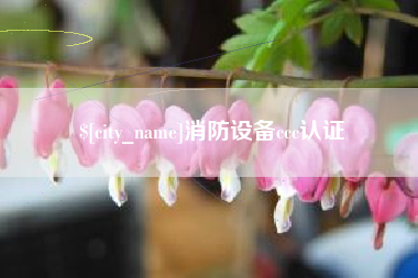 衡水消防设备ccc认证