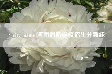 衡水河南消防学校招生分数线