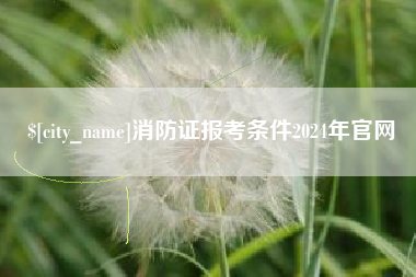 衡水消防证报考条件2024年官网