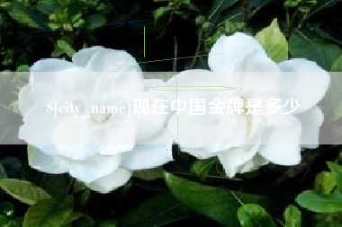 衡水现在中国金牌是多少