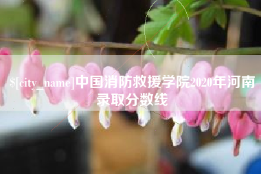 衡水中国消防救援学院2020年河南录取分数线