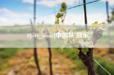 衡水中国队 冠军