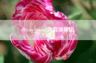 衡水九宫排除法