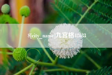 衡水九宫格42633