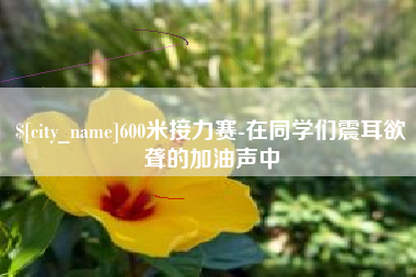 衡水600米接力赛-在同学们震耳欲聋的加油声中