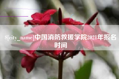 衡水中国消防救援学院2021年报名时间