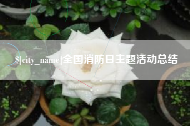 衡水全国消防日主题活动总结