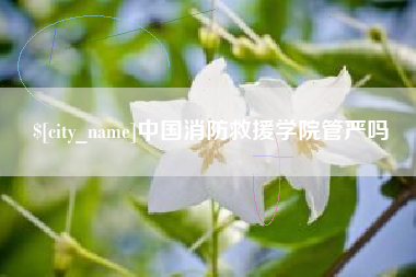 衡水中国消防救援学院管严吗