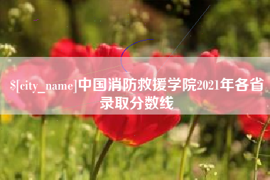 衡水中国消防救援学院2021年各省录取分数线