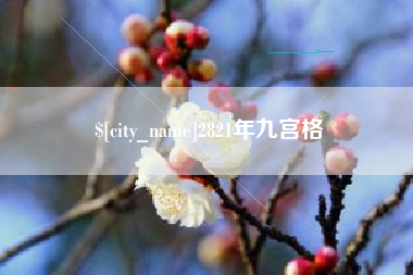 衡水2821年九宫格
