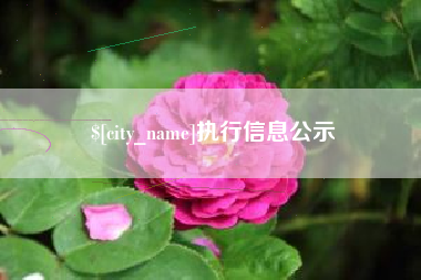 衡水执行信息公示
