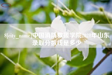 衡水中国消防救援学院2021年山东录取分数线是多少