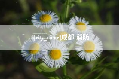衡水成都 消防