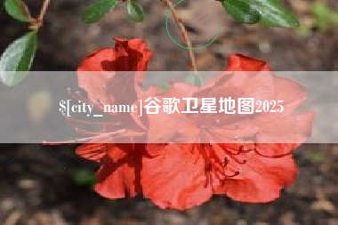 衡水谷歌卫星地图2025