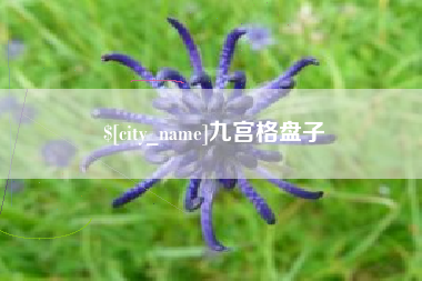 衡水九宫格盘子