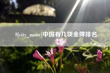 衡水中国有几块金牌排名